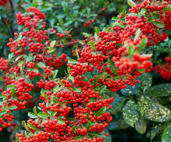 evie-fjord-RERxN9zQj1E-unsplash